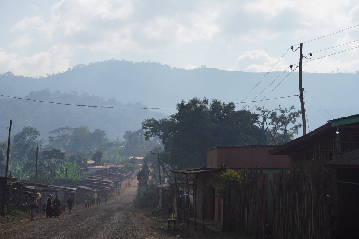 ARICHA WUBANCHI | Ethiopia | Washed - kaffemikAPRICOT | GREEN TEA | BERGAMOTCoffee